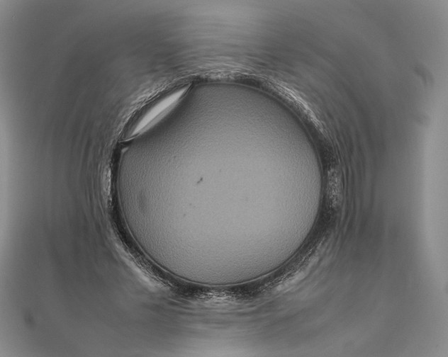 X0000111840589200908061255