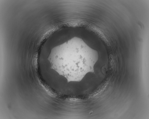 X0000111840590200908061255