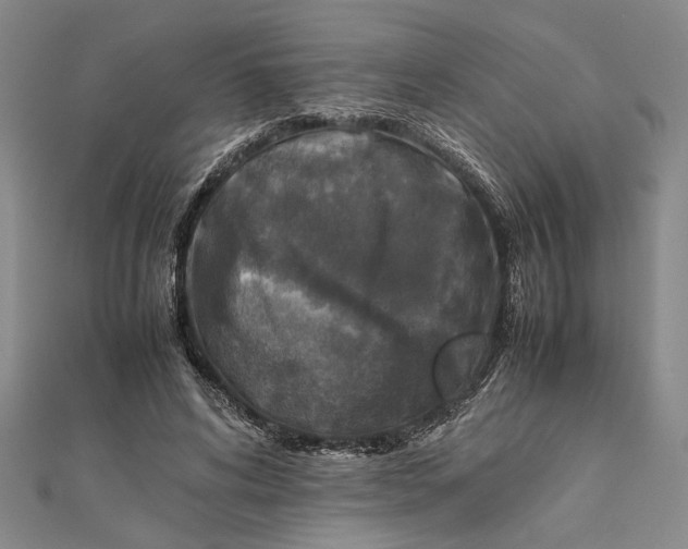 X0000111840592200908061255