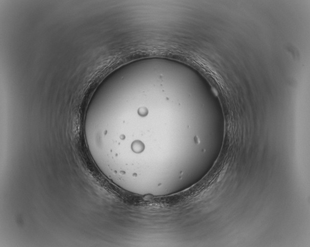 X0000111840593200908061255