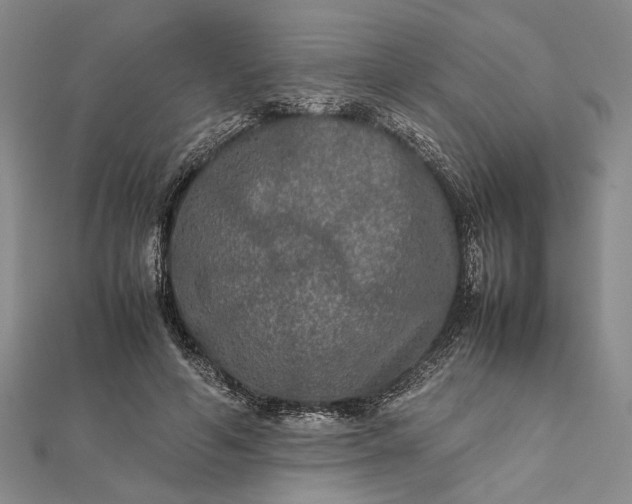 X0000111840594200908061255