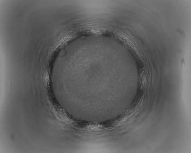 X0000111840595200908061255