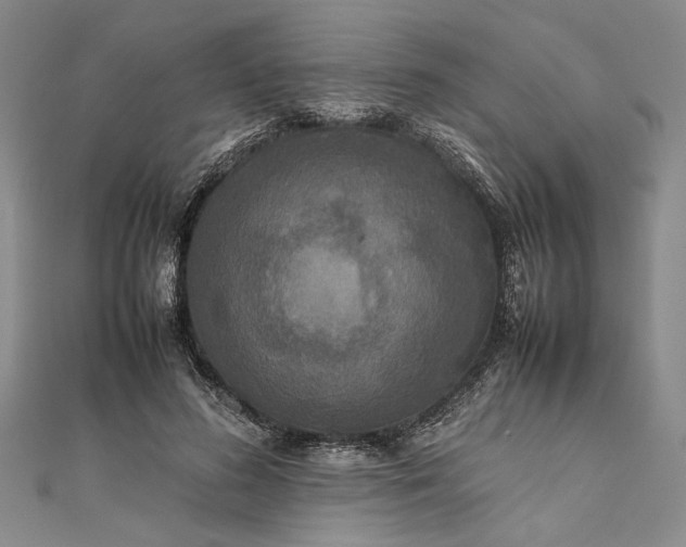 X0000111840596200908061255