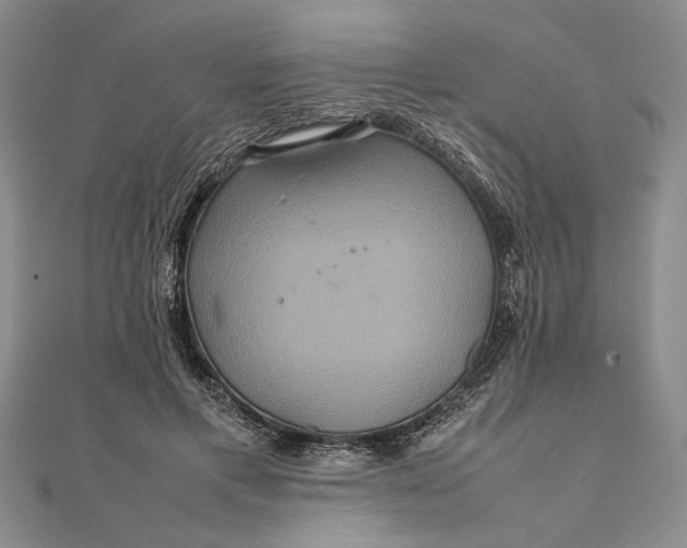 X0000111840597200908061255