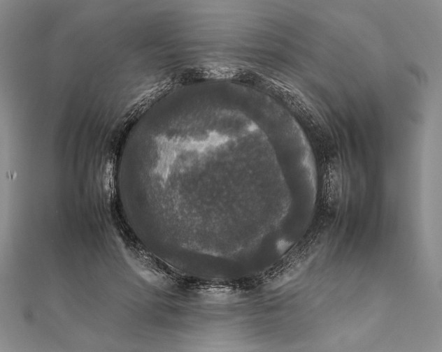 X0000111840598200908061255