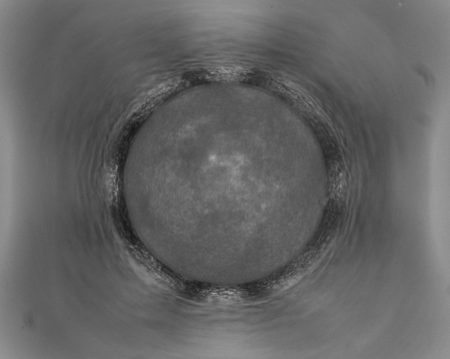 X0000111840599200908061255