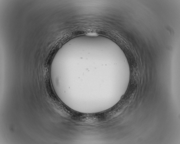 X0000111840601200908061255