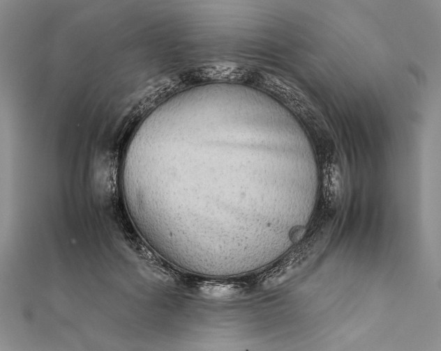 X0000111840602200908061255