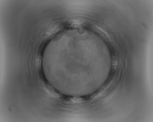 X0000111840603200908061255