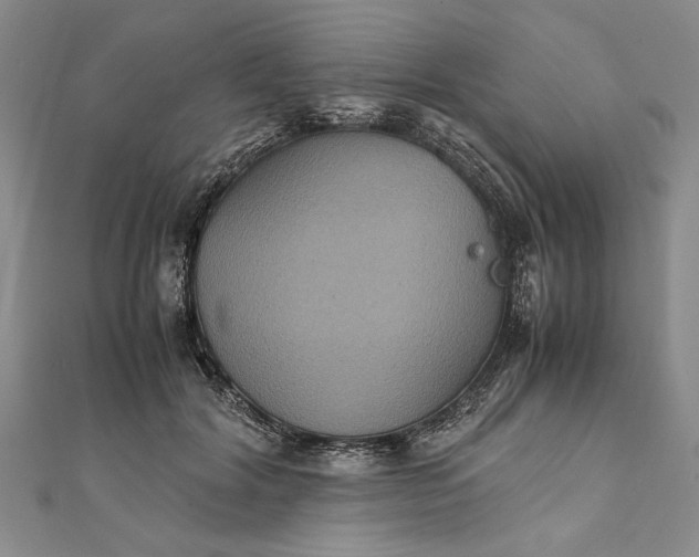 X0000111840604200908061255