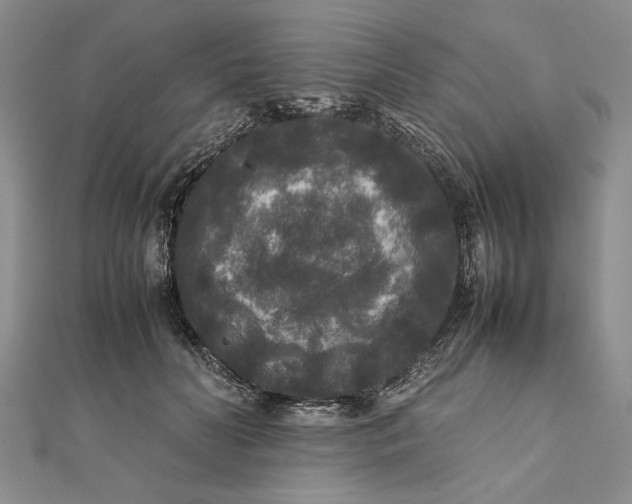 X0000111840606200908061255