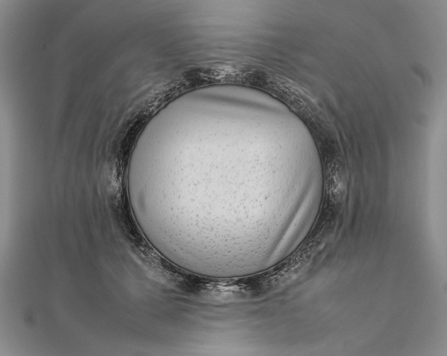 X0000111840607200908061255