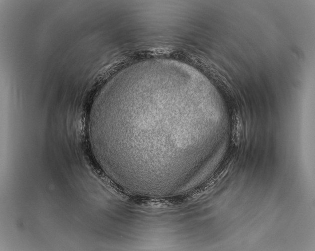 X0000111840608200908061255