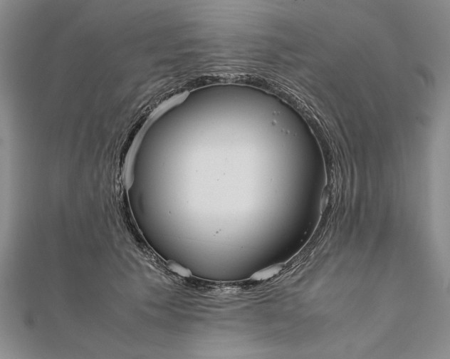 X0000111840609200908061255