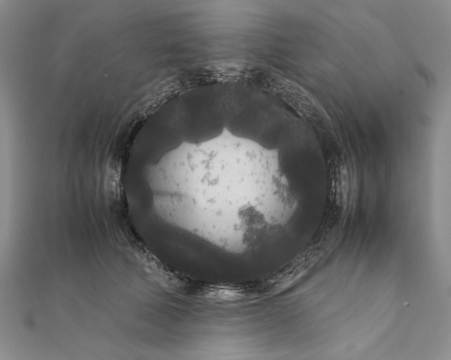 X0000111840610200908061255