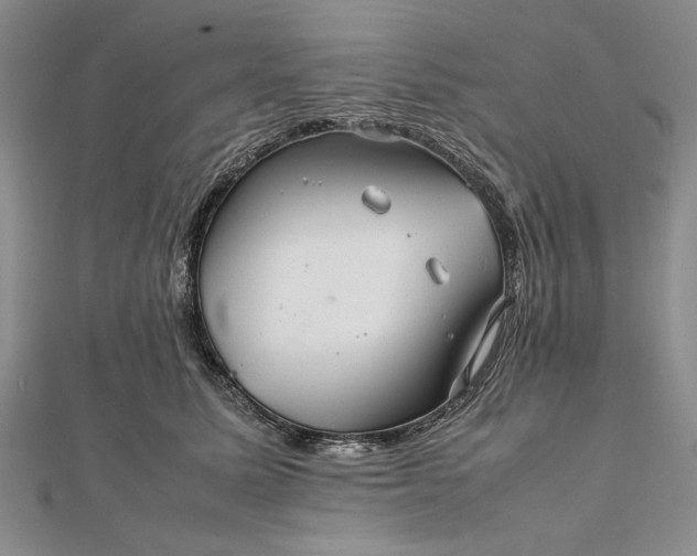 X0000111840611200908061255