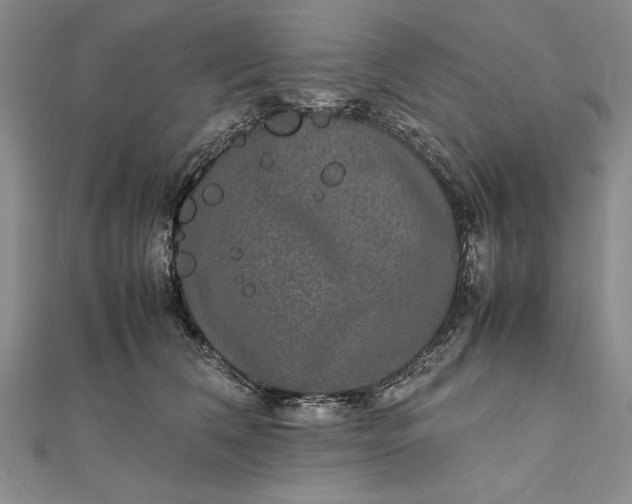 X0000111840612200908061255