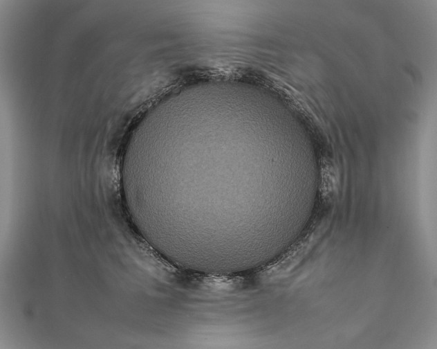 X0000111840613200908061255