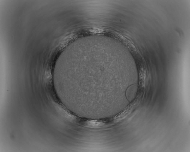 X0000111840614200908061255