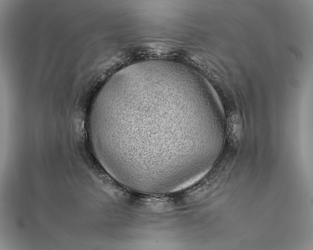 X0000111840615200908061255