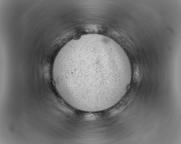 X0000111840616200908061255