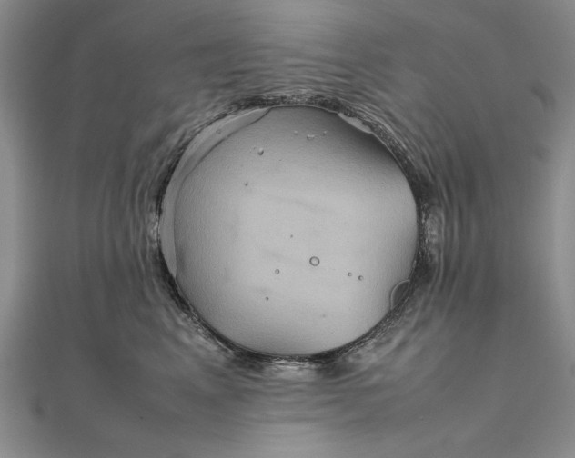 X0000111840617200908061255