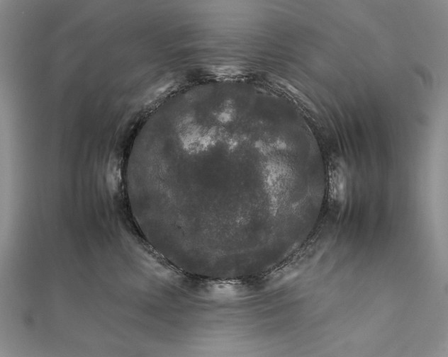 X0000111840618200908061255