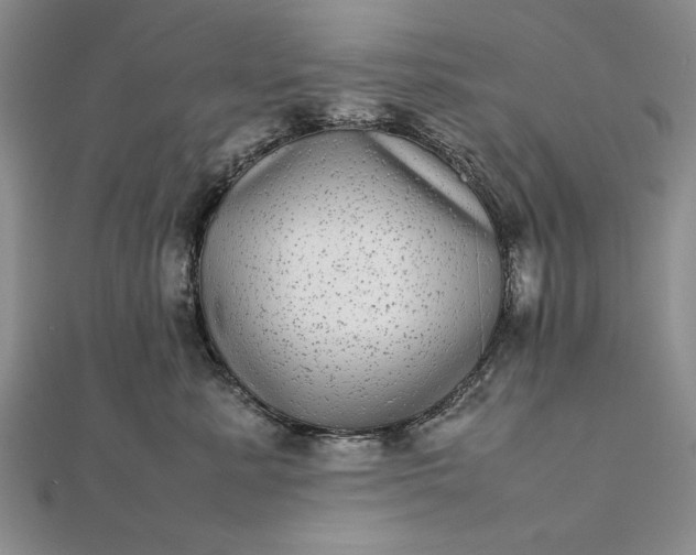 X0000111840619200908061255