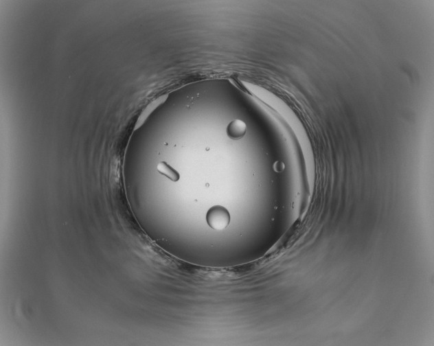 X0000111840621200908061255