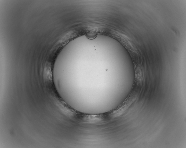 X0000111840622200908061255