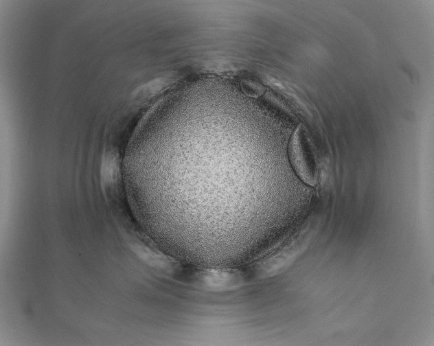 X0000111840623200908061255