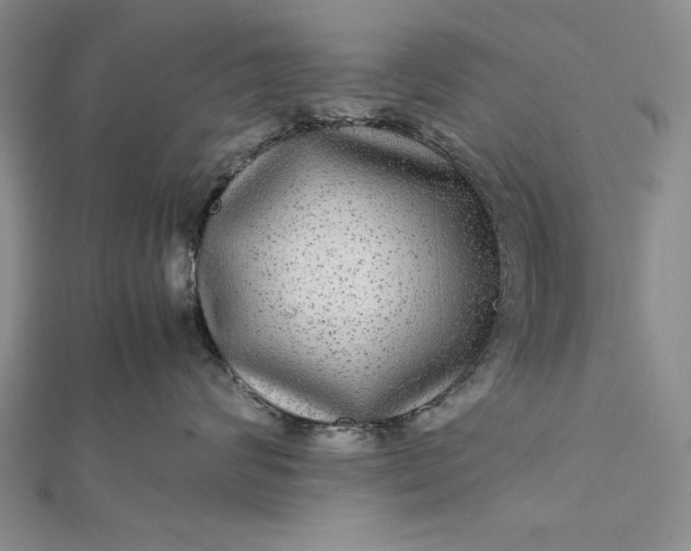 X0000111840624200908061255