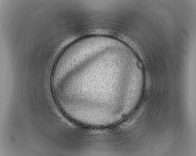 X0000111840625200908061254