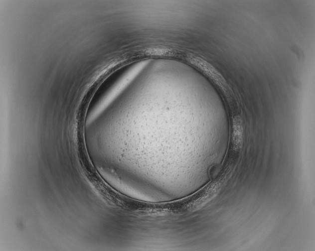 X0000111840626200908061254