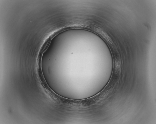 X0000111840628200908061254