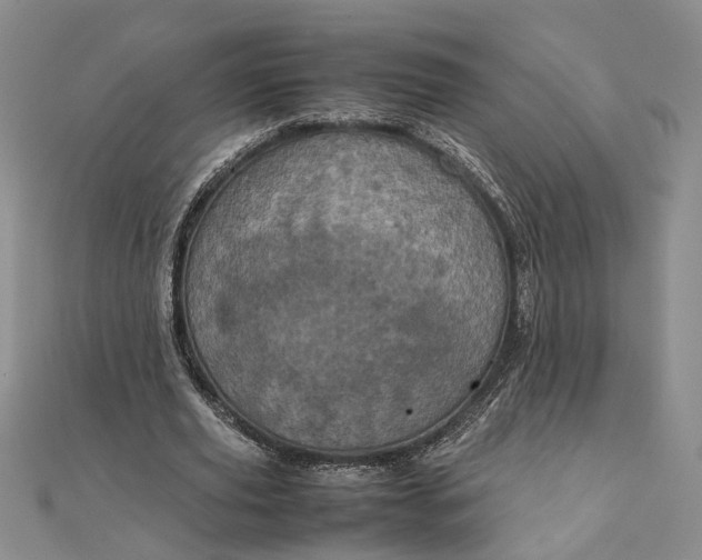 X0000111840629200908061254