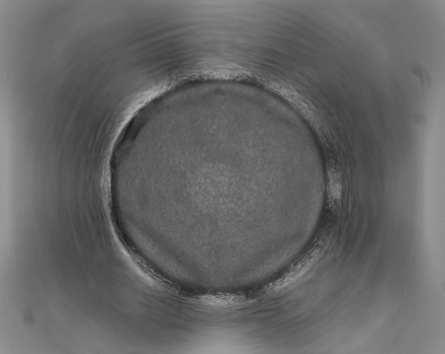 X0000111840630200908061254