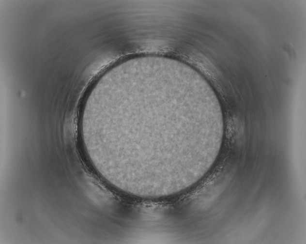 X0000111840632200908061254