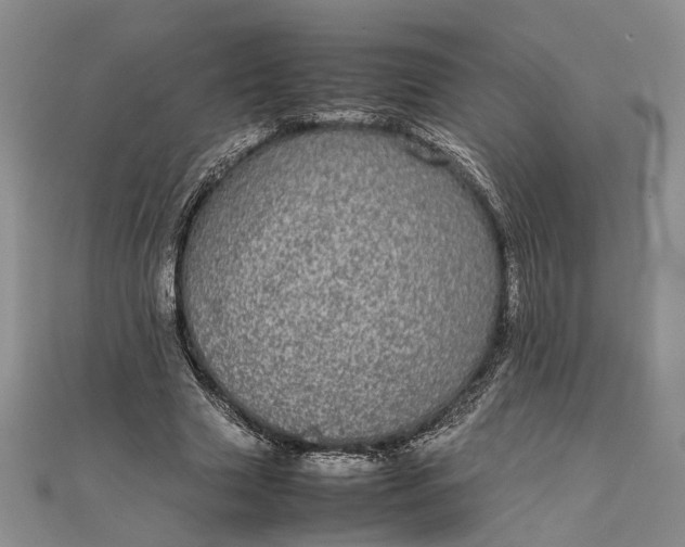 X0000111840633200908061254