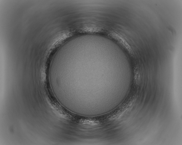 X0000111840635200908061254