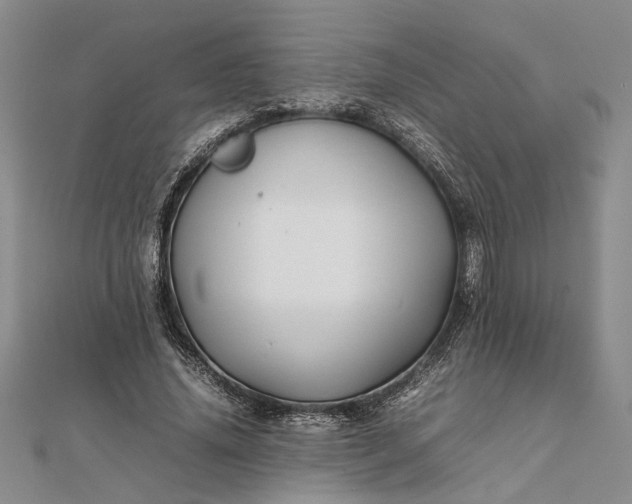 X0000111840636200908061254