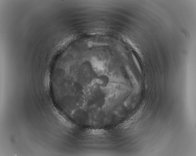 X0000111840637200908061254