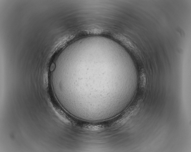 X0000111840638200908061254