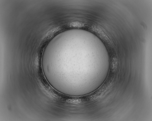 X0000111840639200908061254