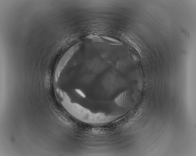 X0000111840641200908061254