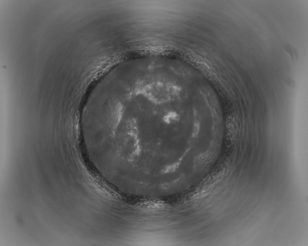 X0000111840642200908061254