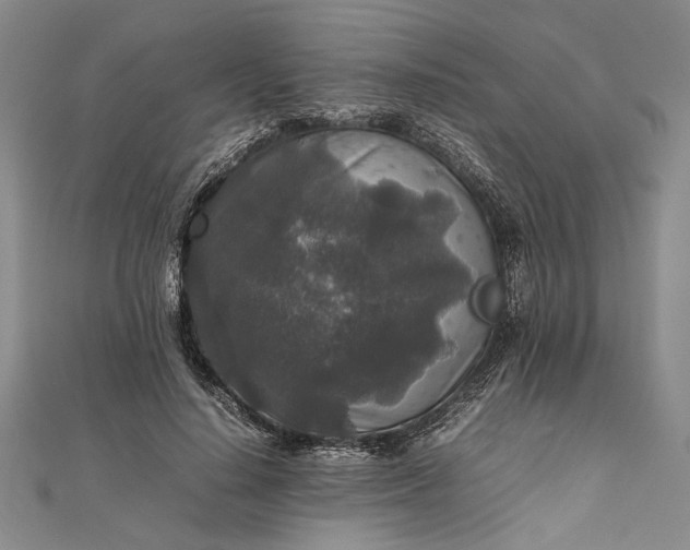 X0000111840644200908061254