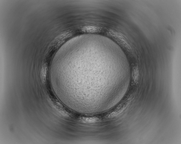 X0000111840645200908061254