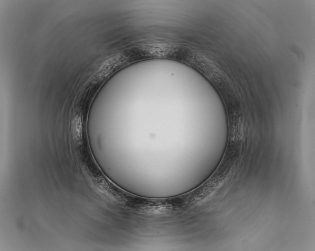 X0000111840646200908061254