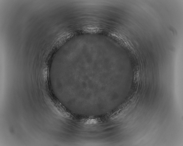 X0000111840647200908061254